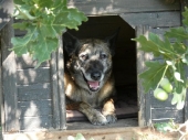 Pension_28