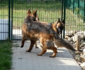 Pension_28