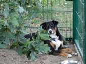 Pension_29