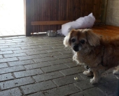 Pension_2