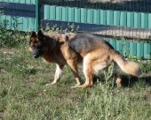 Pension_31