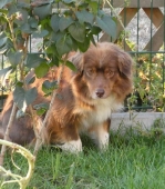 Pension_36