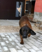 Pension_39