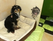 Pension_3