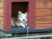 Pension_3