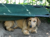 Pension_4