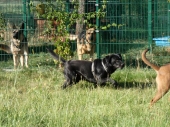 Pension_4