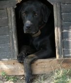Pension_6