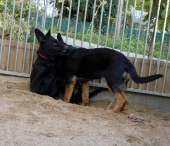 Pension_6