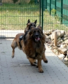 Pension_97
