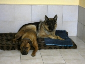 Pension_21
