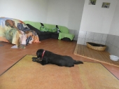 Pension_11