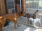 Pension_21