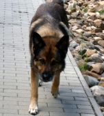 Pension_2