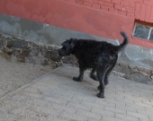 Pension_35