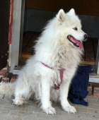 Juli 2018
