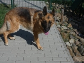 Pension_4