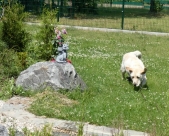 Pension_2