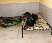 Pension_1