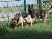 Pension_27