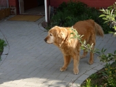 Pension_29