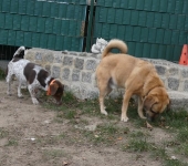 Pension_43