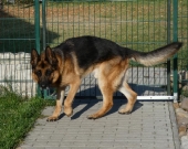 Pension_14
