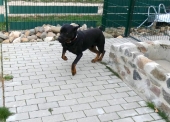 Pension_19