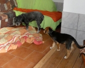 Pension_10