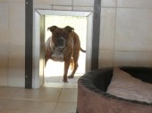 Pension_11