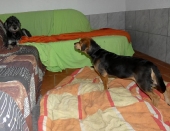 Pension_12