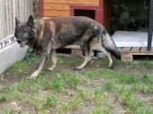 Pension_13