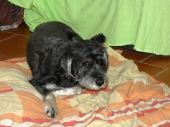 Pension_1