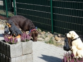 Pension_21