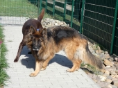 Pension_22