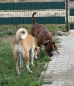 Pension_31