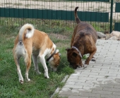 Pension_32