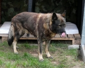 Pension_4