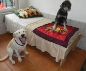 Pension_5