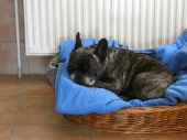 Pension_73