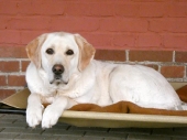 Pension_21