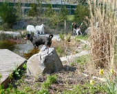 Pension_28