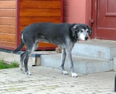 Pension_38