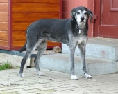 Pension_48