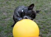 Pension_4