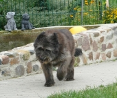 Pension_78