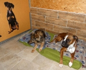 Pension_22