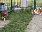 Pension_24