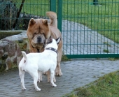 Pension_2