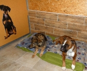 Pension_4